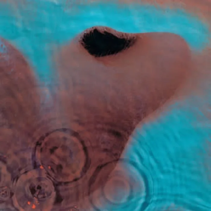 Pink Floyd - Meddle 2016 LP (Remaster edition) - Görsel 2