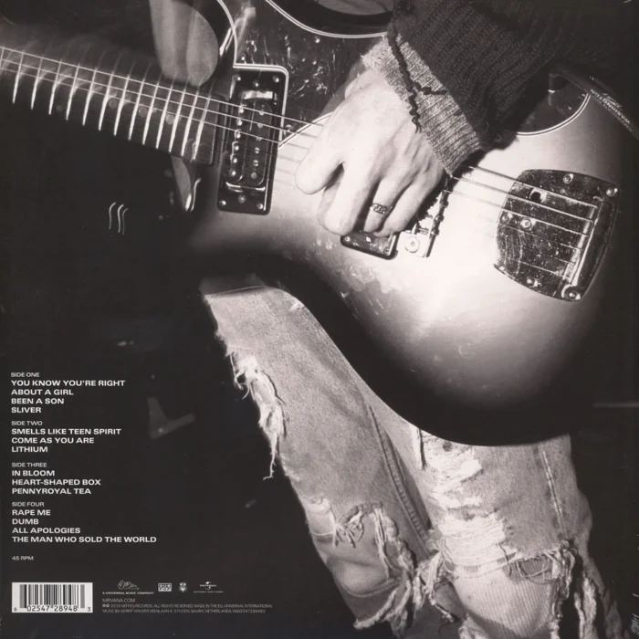 Nirvana - Nirvana 2LP Limited Deluxe edition - Görsel 2
