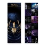 Tool Fear Inoculum plak