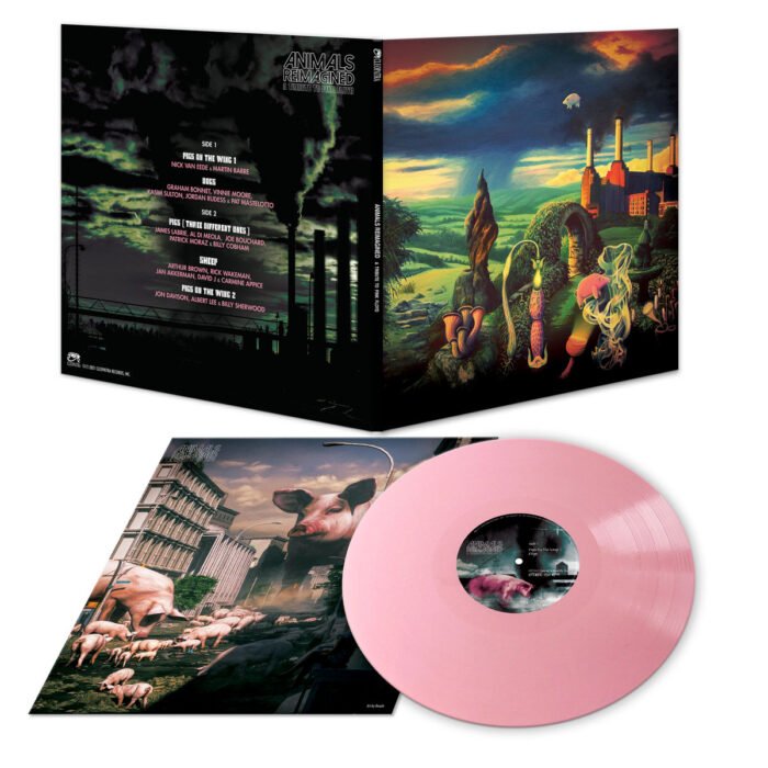 Pink Floyd - Animals Reimagined Tribute To Pink Floyd - Görsel 2