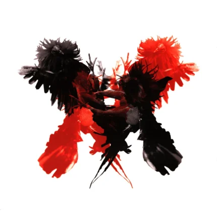 Kings Of Leon - Only By The Night 2LP