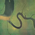 Dead Can Dance - The Serpent's Egg 1LP