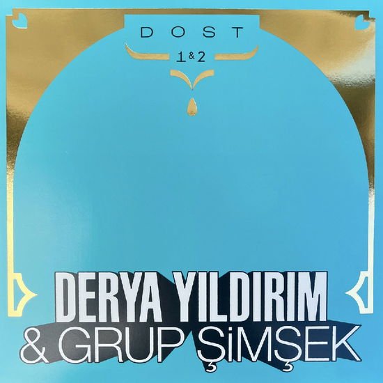 Derya Yildirim & Grup Simsek - Cool Hand 1LP