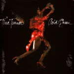Tina Turner – Acid Queen 1LP